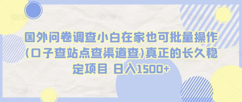 国外问卷调查小白在家也可批量操作(口子查站点查渠道查)真正的长久稳定项目 日入1500+【揭秘】-千寻创业网