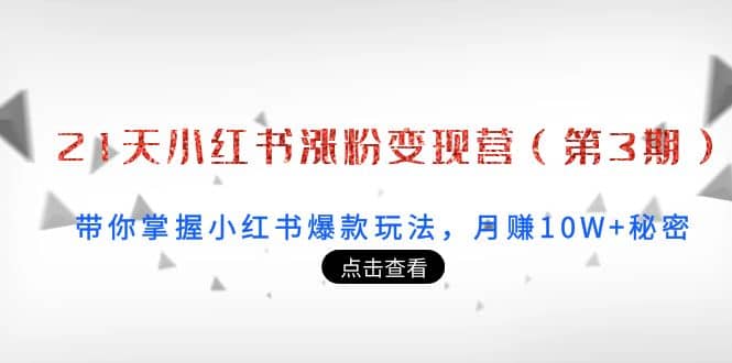 21天小红书涨粉变现营（第3期）：带你掌握小红书爆款玩法，月赚10W+秘密-千寻创业网
