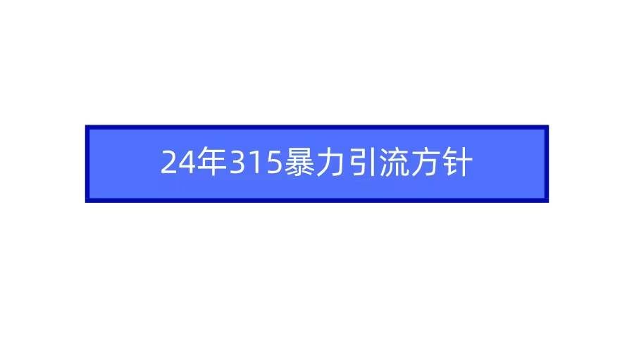 （9398期）2024年315暴力引流方针-千寻创业网