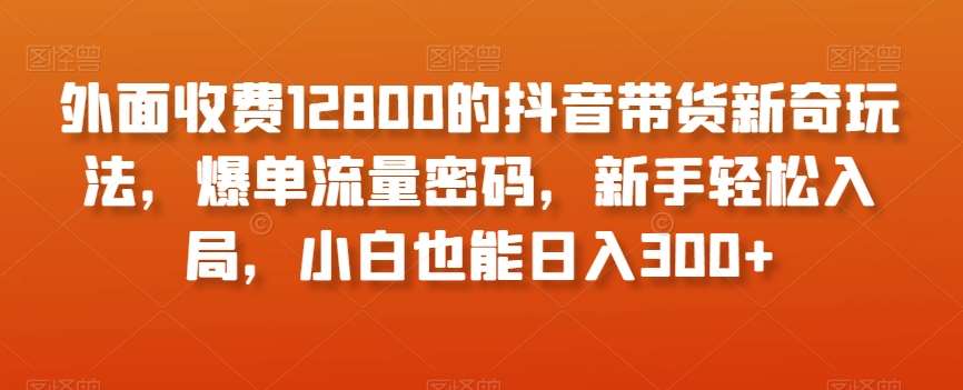 外面收费12800的抖音带货新奇玩法，爆单流量密码，新手轻松入局，小白也能日入300+【揭秘】-千寻创业网