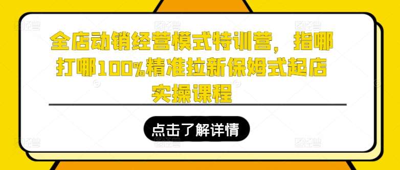 全店动销经营模式特训营，指哪打哪100%精准拉新保姆式起店实操课程-千寻创业网