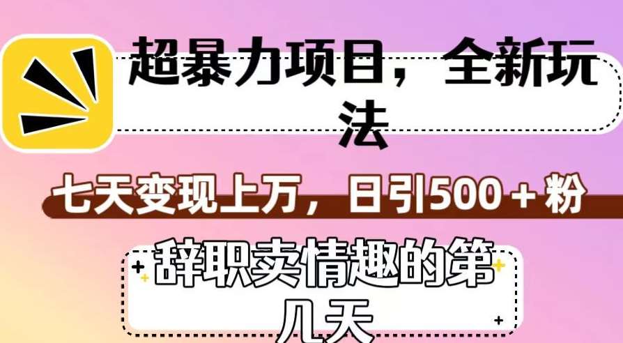 超暴利项目，全新玩法（辞职卖情趣的第几天），七天变现上万，日引500+粉【揭秘】-千寻创业网