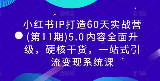 小红书IP打造60天实战营(第11期)5.0​内容全面升级，硬核干货，一站式引流变现系统课-千寻创业网