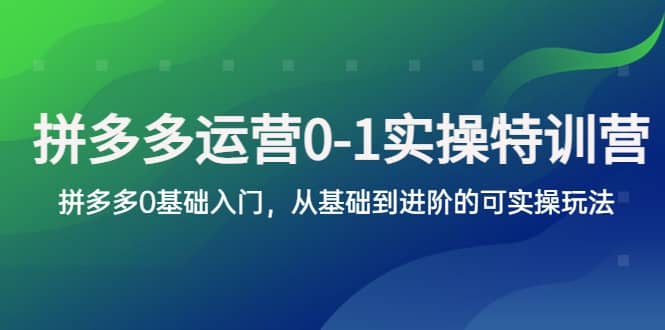 拼多多-运营0-1实操训练营，拼多多0基础入门，从基础到进阶的可实操玩法-千寻创业网
