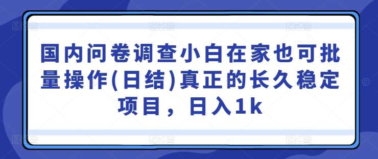 国内问卷调查小白在家也可批量操作(日结)真正的长久稳定项目，日入1k【揭秘】-千寻创业网