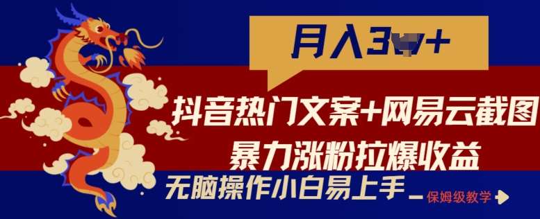 抖音热门文案+网易云截图暴力涨粉拉爆收益玩法，小白无脑操作，简单易上手【揭秘】-千寻创业网