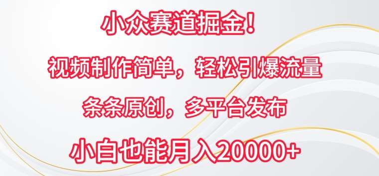 小众赛道掘金，视频制作简单，轻松引爆流量，条条原创，多平台发布【揭秘】-千寻创业网