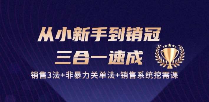 从小新手到销冠 三合一速成：销售3法+非暴力关单法+销售系统挖需课 (27节)-千寻创业网