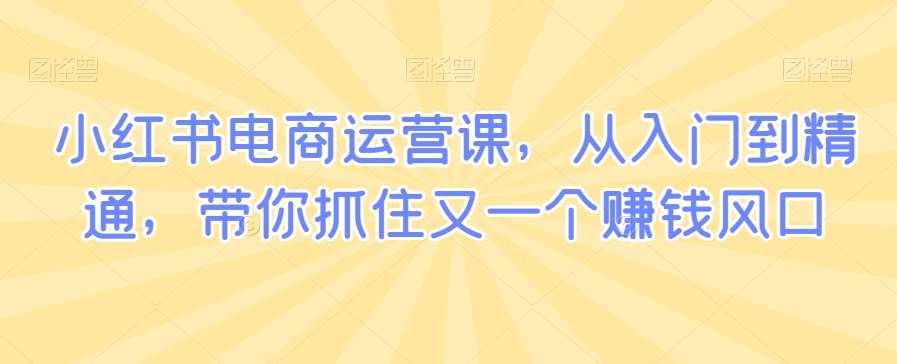 小红书电商运营课，从入门到精通，带你抓住又一个赚钱风口-千寻创业网