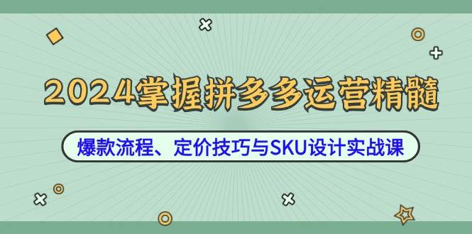（12703期）2024掌握拼多多运营精髓：爆款流程、定价技巧与SKU设计实战课-千寻创业网
