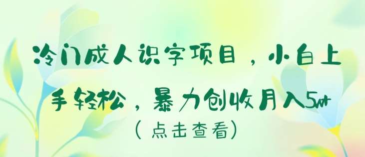 冷门成人识字项目，小白上手轻松，暴力创收月入5w+【揭秘】-千寻创业网