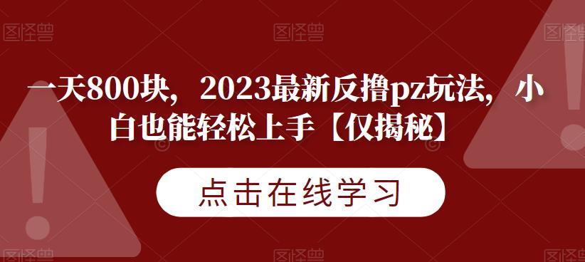 一天800块，2023最新反撸pz玩法，小白也能轻松上手【仅揭秘】-千寻创业网