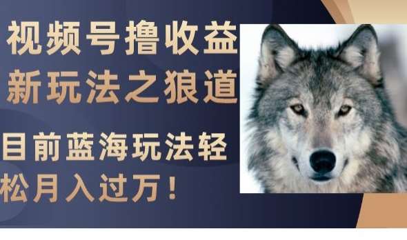 视频号撸收益新玩法之狼道，目前蓝海玩法，轻松月入过万【揭秘】-千寻创业网
