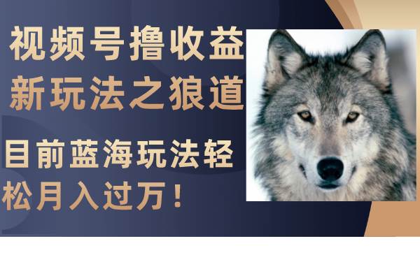 （8042期）视频号撸收益新玩法之狼道，目前蓝海玩法轻松月入过万！-千寻创业网