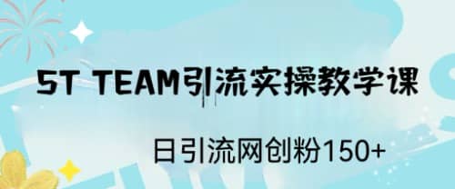 ST TEAM引流实操课，日引流网创粉100+-千寻创业网