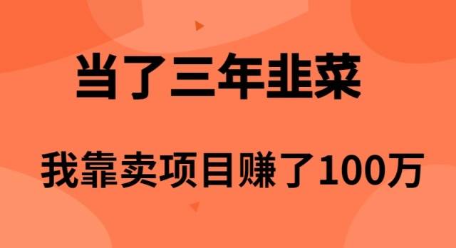 （10149期）当了3年韭菜，我靠卖项目赚了100万-千寻创业网