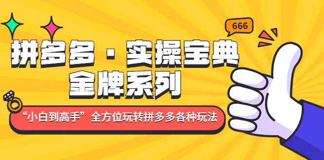 拼多多·实操宝典：金牌系列“小白到高手”带你全方位玩转拼多多各种玩法-千寻创业网