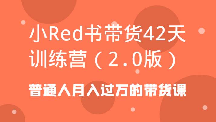 小Red书带货42天训练营（2.0版）普通人月入过万的带货课-千寻创业网