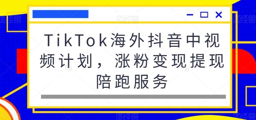 TikTok海外抖音中视频计划，涨粉变现提现陪跑服务-千寻创业网