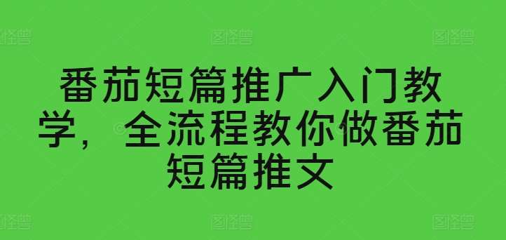 番茄短篇推广入门教学，全流程教你做番茄短篇推文-千寻创业网