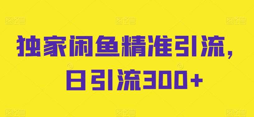 独家闲鱼精准引流，日引流300+【揭秘】-千寻创业网