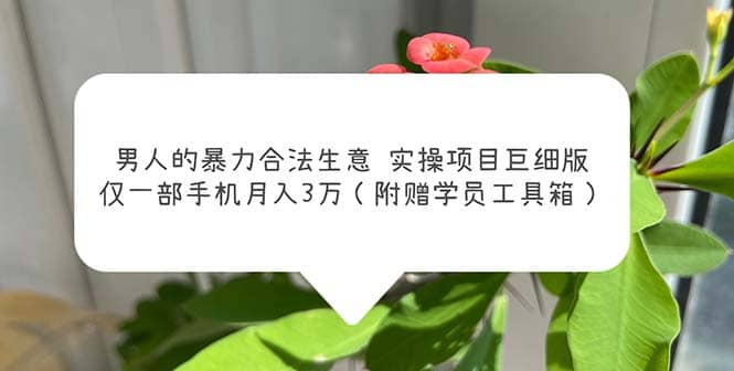 男人的暴力合法生意实操项目巨细版：仅一部手机月入3w（附赠学员工具箱）-千寻创业网