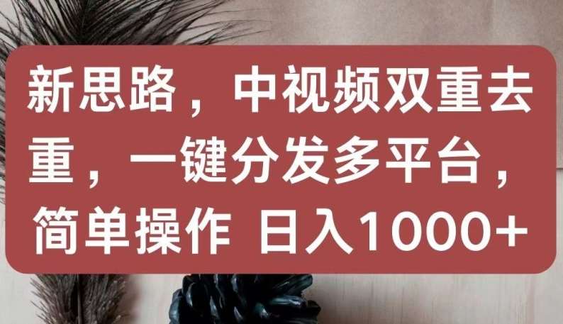 新思路，中视频双重去重，一键分发多平台，简单操作，日入1000+【揭秘】-千寻创业网