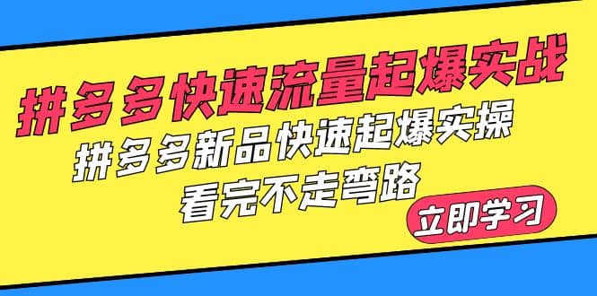 拼多多-快速流量起爆实战，拼多多新品快速起爆实操，看完不走弯路-千寻创业网