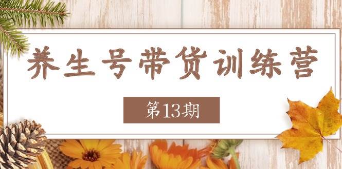 养生号带货训练营【第13期】收益更稳定的玩法，让你带货收益爆炸-千寻创业网