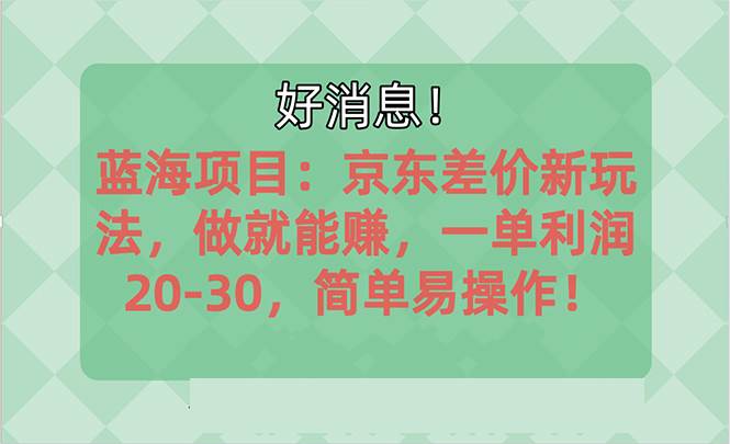 （10989期）越早知道越能赚到钱的蓝海项目：京东大平台操作，一单利润20-30，简单…-千寻创业网