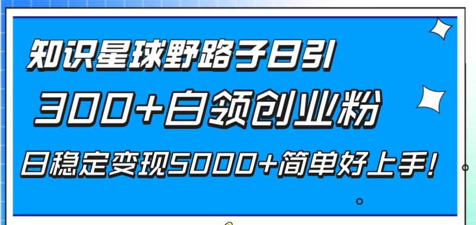 （8315期）知识星球野路子日引300+白领创业粉，日稳定变现5000+简单好上手！-千寻创业网