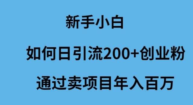 （9668期）新手小白如何日引流200+创业粉通过卖项目年入百万-千寻创业网