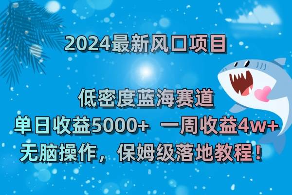 （8545期）2024最新风口项目 低密度蓝海赛道，日收益5000+周收益4w+ 无脑操作，保…-千寻创业网