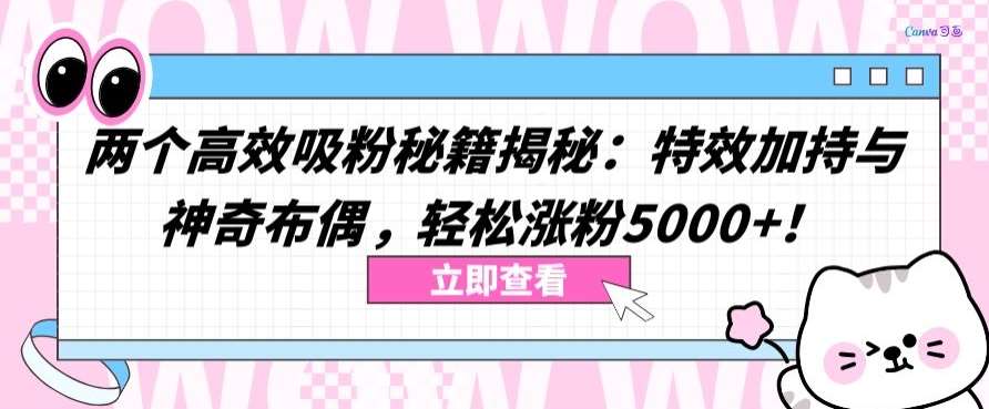 两个高效吸粉秘籍揭秘：特效加持与神奇布偶，轻松涨粉5000+【揭秘】-千寻创业网