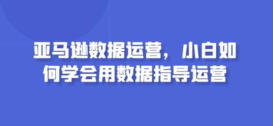 亚马逊数据运营，小白如何学会用数据指导运营-千寻创业网