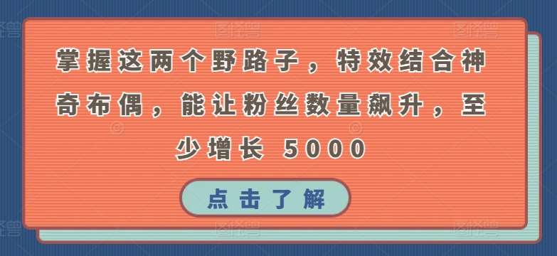 掌握这两个野路子，特效结合神奇布偶，能让粉丝数量飙升，至少增长 5000【揭秘】-千寻创业网
