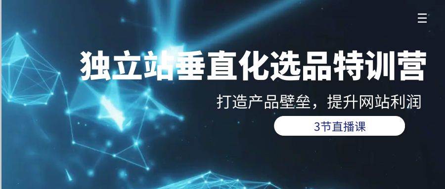 （9925期）独立站-垂直化选品训练营，打造产品壁垒，提升网站利润（3节直播课）-千寻创业网