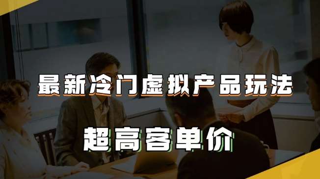 最新冷门虚拟产品玩法，超高客单价，月入2-3万＋【揭秘】-千寻创业网