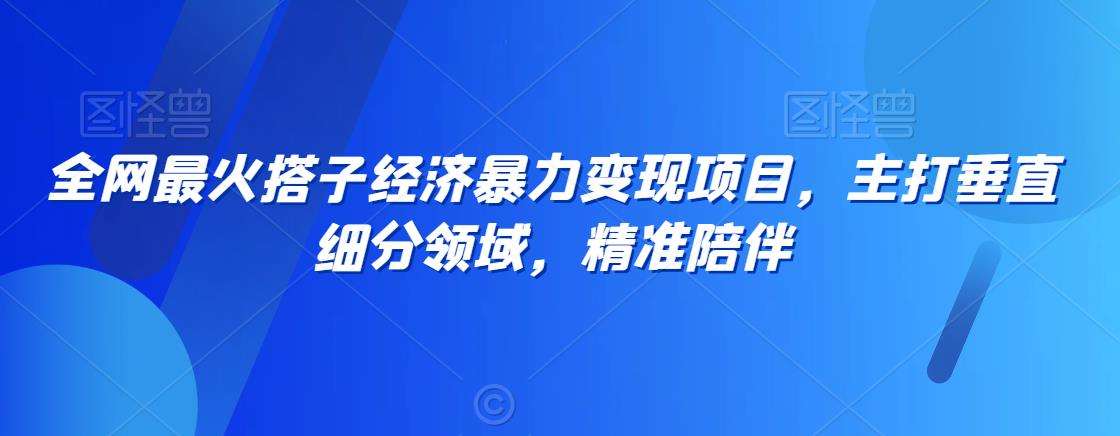全网最火搭子经济暴力变现项目，主打垂直细分领域，精准陪伴【揭秘】-千寻创业网