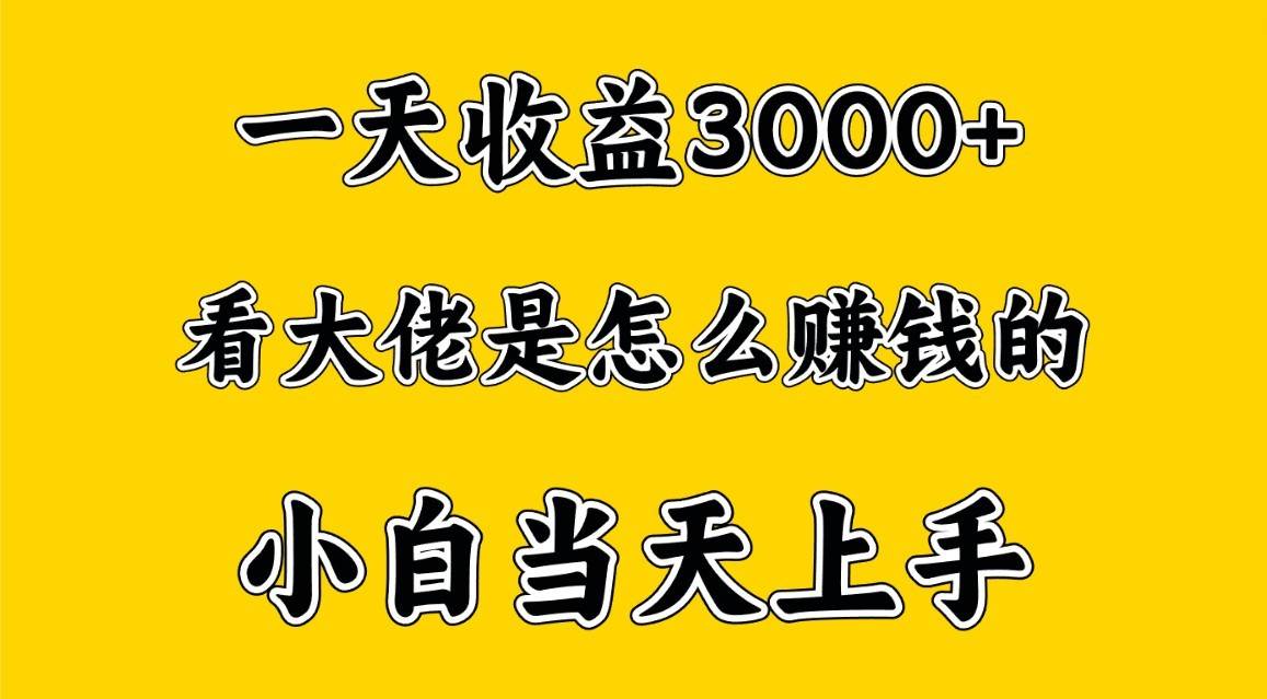 一天赚3000多，大佬是这样赚到钱的，小白当天上手，穷人翻身项目-千寻创业网