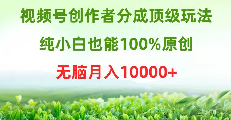 （9608期）视频号创作者分成顶级玩法，纯小白也能100%原创，无脑月入10000+-千寻创业网