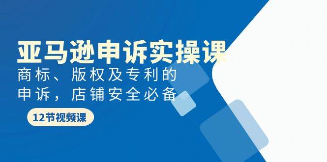 （9754期）亚马逊-申诉实战课，​商标、版权及专利的申诉，店铺安全必备-千寻创业网
