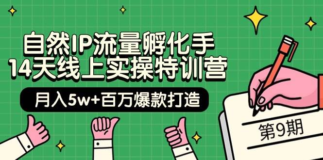 （9881期）自然IP流量孵化手 14天线上实操特训营【第9期】月入5w+百万爆款打造 (74节)-千寻创业网