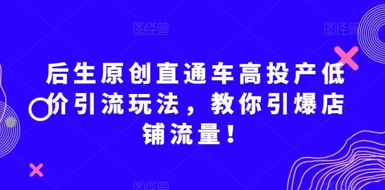 后生原创直通车高投产低价引流玩法，教你引爆店铺流量！-千寻创业网