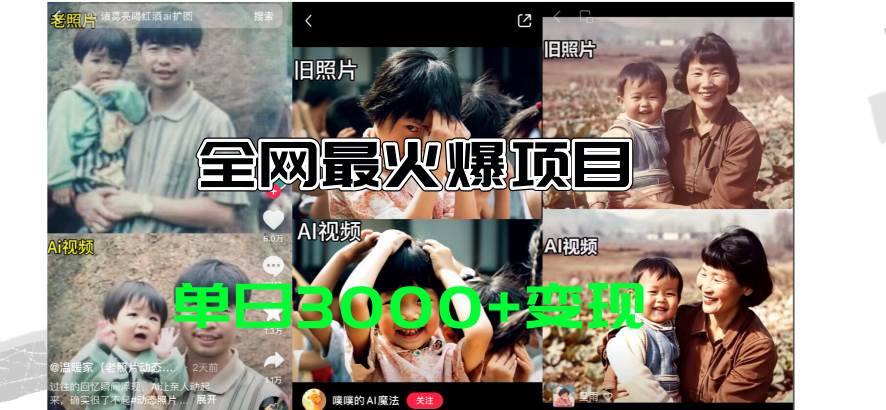 （11546期）全网爆火的AI让老照片动起来教程，蹭热点日赚3000+，内含免费工具一键…-千寻创业网