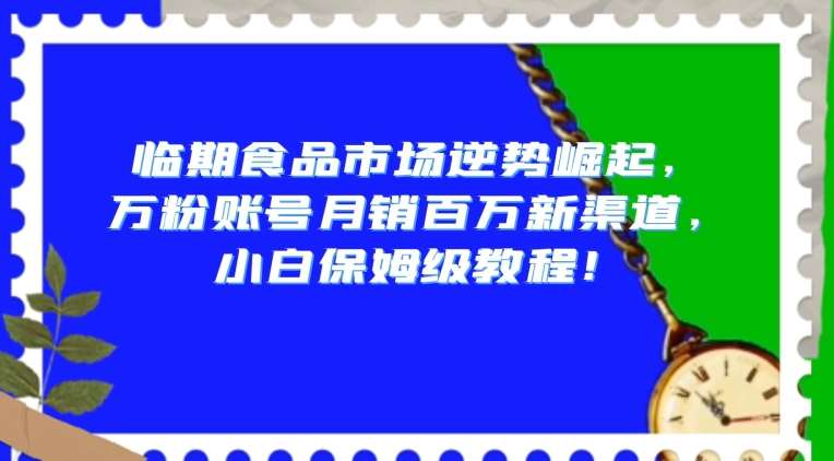 临期食品市场逆势崛起，万粉账号月销百万新渠道，小白保姆级教程【揭秘】-千寻创业网