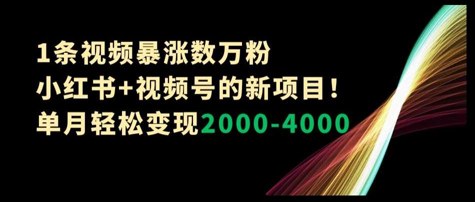 1条视频暴涨数万粉–小红书+视频号的新项目！单月轻松变现2000-4000【揭秘】-千寻创业网