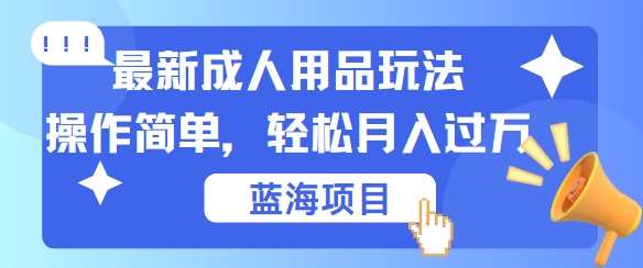 最新成人用品项目玩法，操作简单，动动手，轻松日入几张【揭秘】-千寻创业网