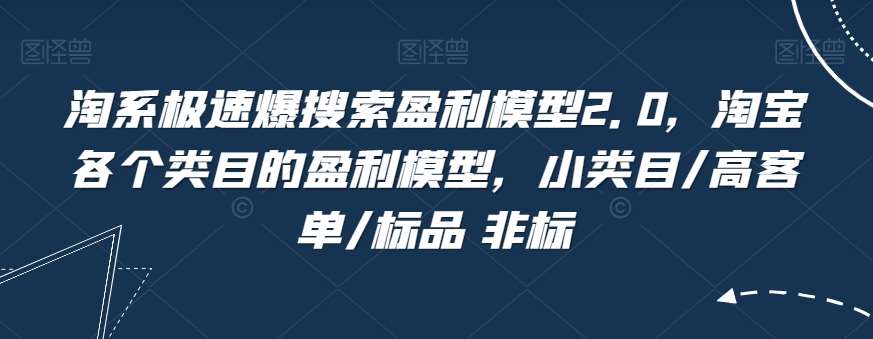 淘系极速爆搜索盈利模型2.0，淘宝各个类目的盈利模型，小类目/高客单/标品 非标-千寻创业网