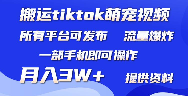 （9618期）搬运Tiktok萌宠类视频，一部手机即可。所有短视频平台均可操作，月入3W+-千寻创业网